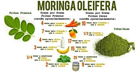 Dica Saudável Moringa