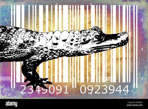 barcode design art idea Stock Photo - Alamy