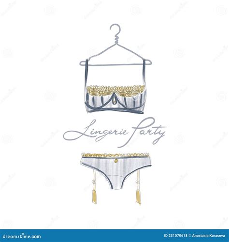 Fashionable Lingerie Lace Panty And Bra On White Background Beautiful Silk Lace Female