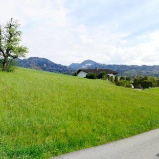 Baugrund In Hanglage Mit Super Aussicht Amann Immobilien Gmbh