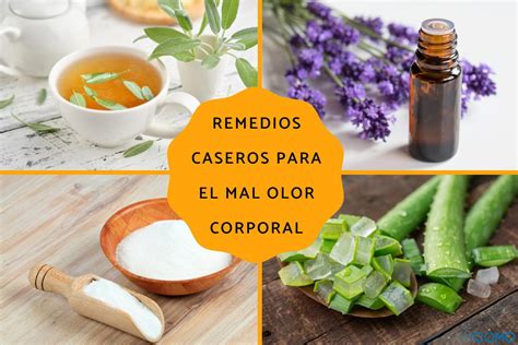 Remedios Caseros Para El Mal Olor Corporal Descubre Las Soluciones