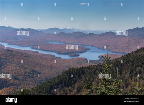 Adirondack Trees Hi Res Stock Photography And Images Alamy