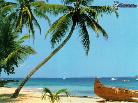 Old Boat On The Beach