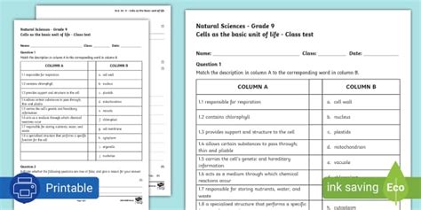 Cells As The Basic Unit Of Life Class Test Twinkl