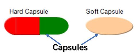 Softgel Versus Hard Gelatin Capsule