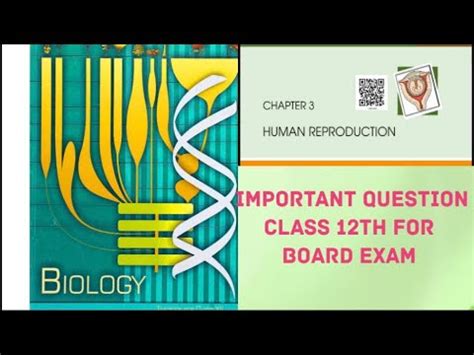 Human Reproduction Important Question For Board Exam Class Th