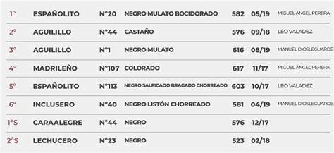 Españolito de Vellosino abre la tarde en Salamanca Orden de Lidia