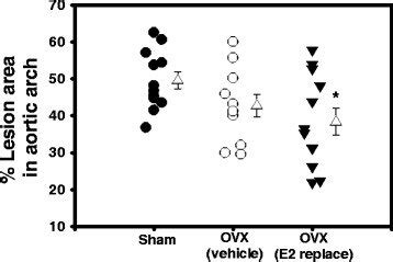 E Administration Reduced Angii Induced Atherosclerosis In Female Ovx