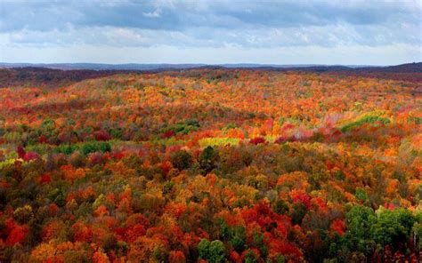 More Michigan Fall Colors Fall In Michigan Manistee National Forest