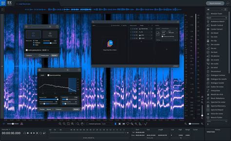 Izotope Rx Standard Audio Editor Has No Presets Ontide