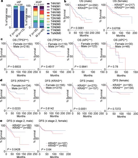 Histone Demethylase KDM5D Upregulation Drives Sex Differences In Colon