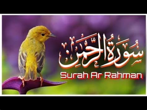 Surah Ar Rahman The Beneficent سورة الرحمن Mishary Rashid Alafasy Juz 27th