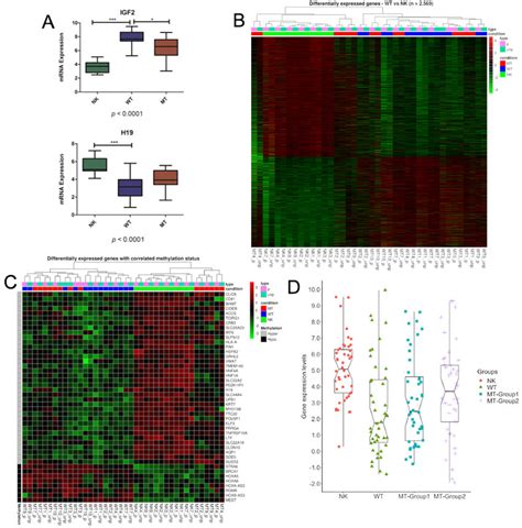 Genes Controlled By Dna Methylation A Boxplot Of Expression Levels