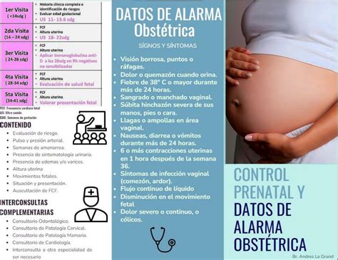 Triptico Control Prenatal Andrés Eduardo Udocz