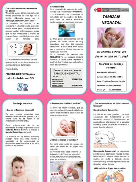 003 Triptico Tamizaje Neonatal Pdf Infantes Hipotiroidismo