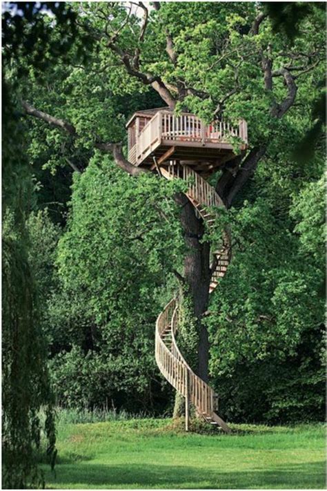 Les cabanes dans les arbres - architecture fantastique au coeur de la forêt