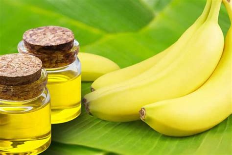 9 Benefits Of Homemade Banana Oil Health Properties Gomestic