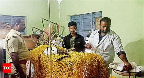 Karnataka Man Rescues Leopard Takes It To Vet On Bike Bengaluru News