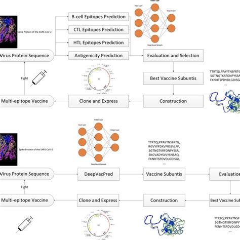 Schematic Diagram Of In Silico Vaccine Design Process A Traditional Download Scientific