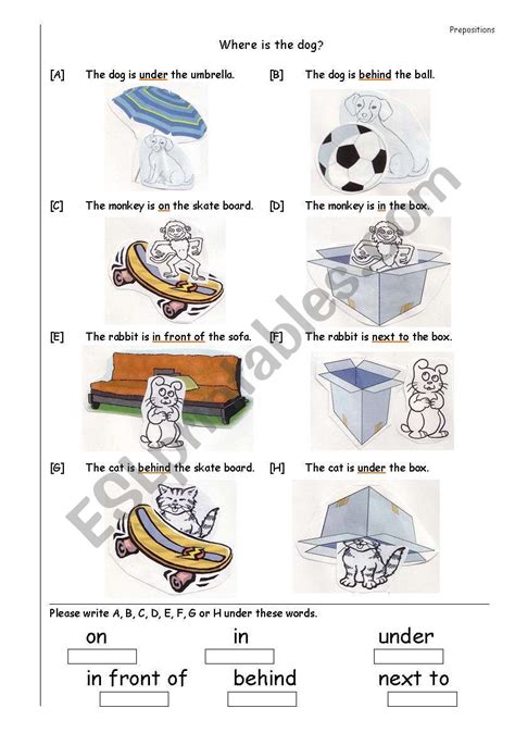 English Worksheets Prepositions Of Place In On Under In Front Of