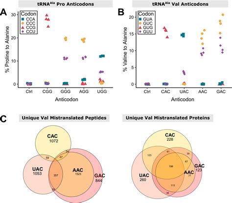 Figure From Probing The Genetic Code And Impacts Of Mistranslation