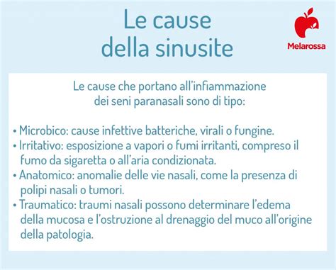 Sinusite cos è cause sintomi diagnosi cure e prevenzione