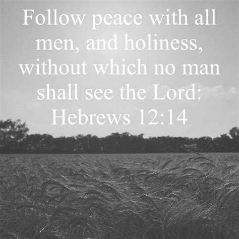 Hebrews 12 14 Follow Peace With All Men And Holiness Without Which No Man Shall See The Lord