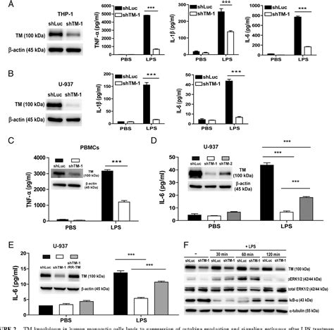 Figure 2 From Response Gram Negative Bacteria Induced Inflammatory