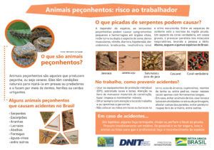 Saiba Como Se Prevenir De Animais Pe Onhentos Br Mt