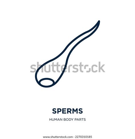 Sperms Icon Human Body Parts Collection Stock Vector Royalty Free