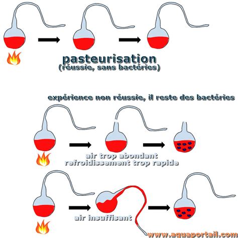 Plausible journal intime Réciter stérilisation pasteurisation insecte ...