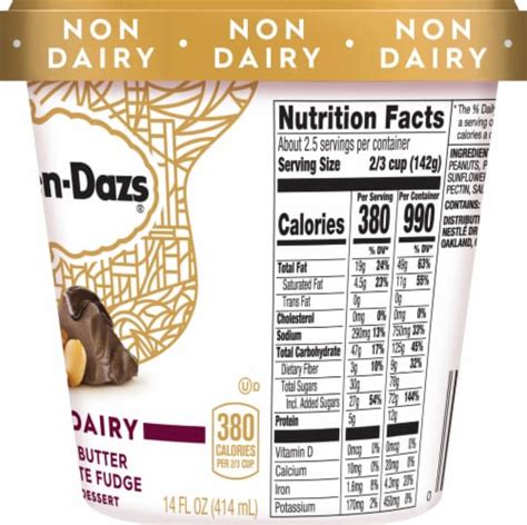 Haagen-Dazs Dairy Free Peanut Butter Chocolate Fudge Frozen Dessert, 14 ...