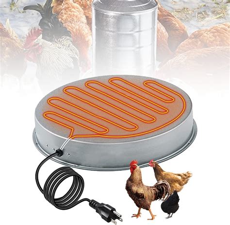 Amazon Poultry Chicken Water Heater W Stainless Steel Chicken