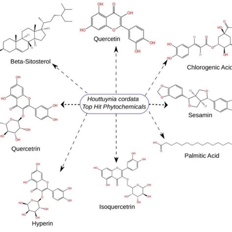 Flavin Adenine Dinucleotide FAD Analysis Showing The A 3D Structure