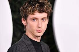 Troye Sivan Wiki Age Height Weight Girlfriend Wife Net Worth And Bio