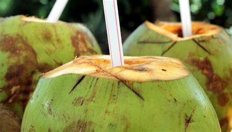 Manfaat Luar Biasa Minum Air Kelapa Saat Perut Kosong TINTAHIJAU