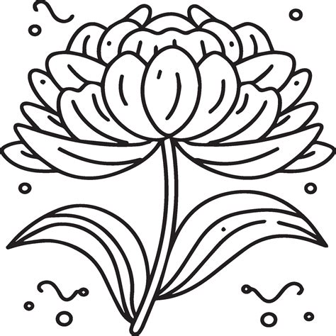 Peony Coloring Pages Peony Flower Outline For Coloring Book 42973253