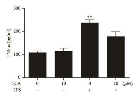 Effects Of Tca On The Protein Levels Of Inos Cox 2 Il 1β And Tnf α