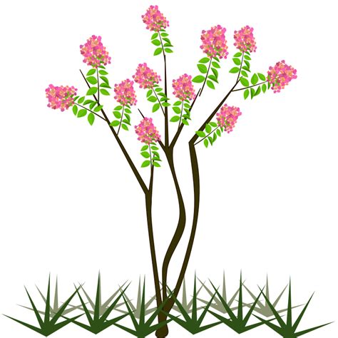 Flowering Tree - Openclipart