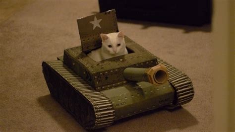 Cat driving a tank Blank Template - Imgflip