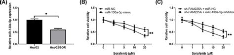 MiR 130a 5p Inhibitor Abrogates The Effects Of FAM225A Knockdown On