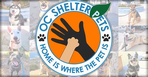 “free-range | OC Shelter Pets