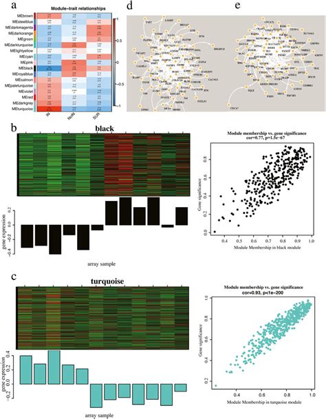 Weighted Gene Coexpression Network Analysis Wgcna A The