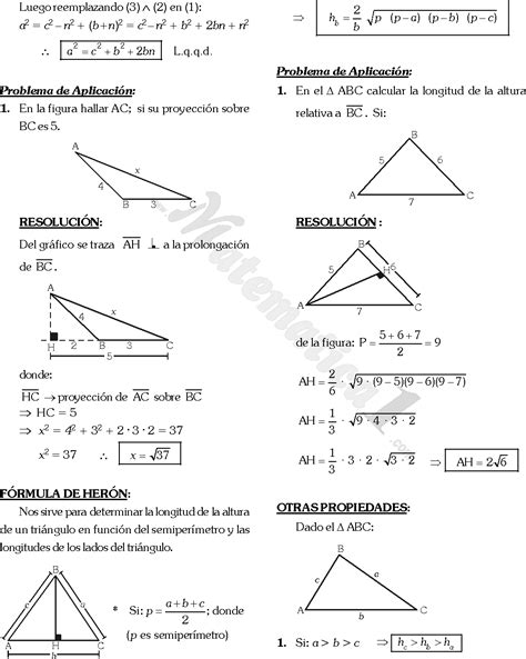 Relaciones Metricas Ejercicios Resueltos Pdf