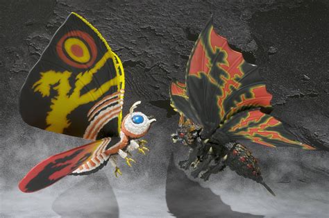 Image Shma Mothra 3 Gojipedia Fandom Powered By Wikia