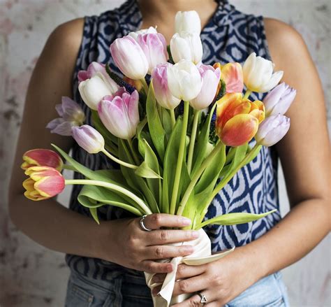 Woman Hands Holding Beautiful Flowers Free Photo Rawpixel