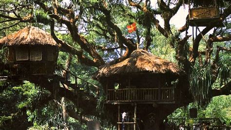 How to Build Your Own Tree House