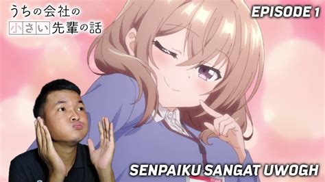 HUKUM AKU SENPAI My Tiny Senpai Episode 1 REACTION INDO YouTube