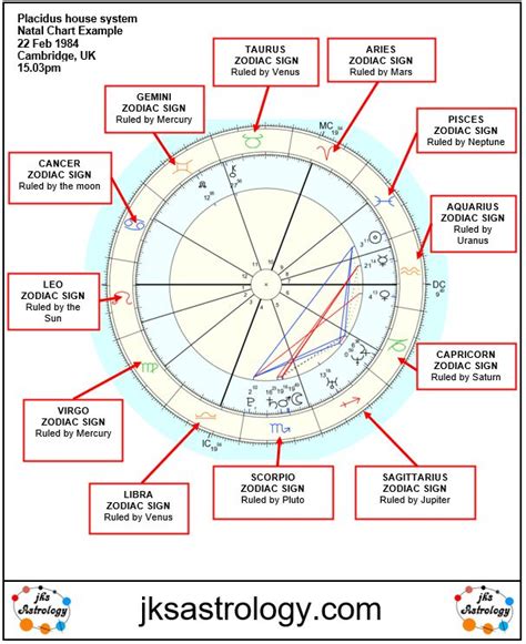 Astrology Natal Chart Zodiac Sign Layout | Astrology chart, Natal chart astrology, Natal charts