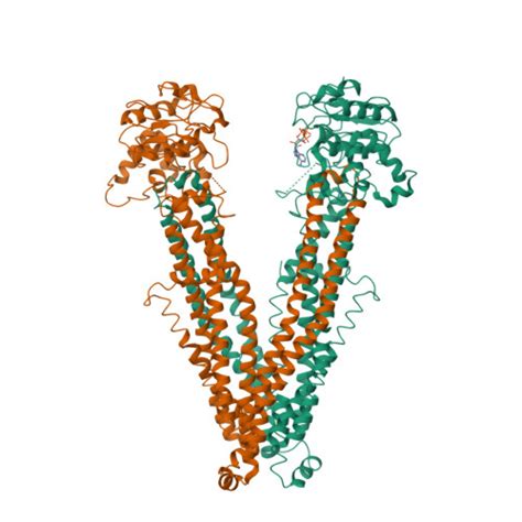 Rcsb Pdb Xec Cryo Em Structure Of Human Abcd E Q In The Presence